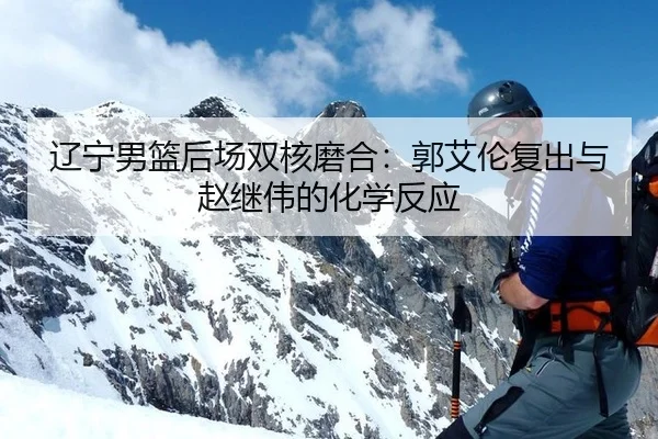 辽宁男篮后场双核磨合：郭艾伦复出与赵继伟的化学反应