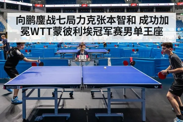 向鹏鏖战七局力克张本智和 成功加冕WTT蒙彼利埃冠军赛男单王座